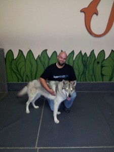 moi et mi-loup
